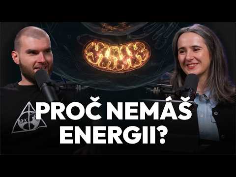 Mitochondrie jsou součásti buněk, které fungují jako hlavní výrobny energie pro tělo