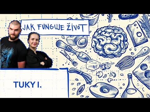 Základní funkcí tuků v těle není jen zásobní energie, ale také stavba buněčných membrán, výroba některých hormonů včetně pohlavních hormonů a vitamínu D, a umožnění vstřebávání vitamínů A, D a E, které se rozpouštějí právě v tucích