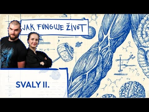 Hypertrofie znamená zvětšení svalu, zatímco síla označuje schopnost svalu vyvinout výkon